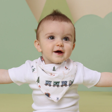 Dribble Bib - Trains