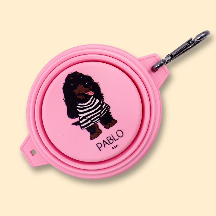 Collapsible Dog Water/Food Bowl - Bubblegum