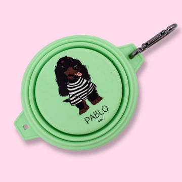 Collapsible Dog Water/Food Bowl - Lime
