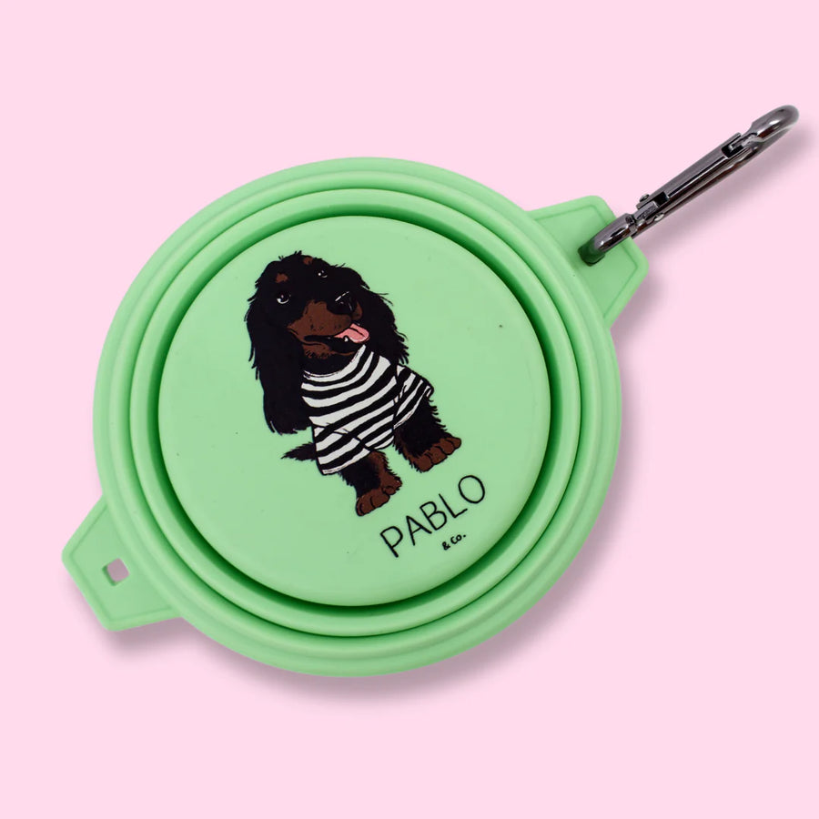 Collapsible Dog Water/Food Bowl - Lime