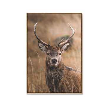 Meadow Deer Wall Art - PICK UP ONLY