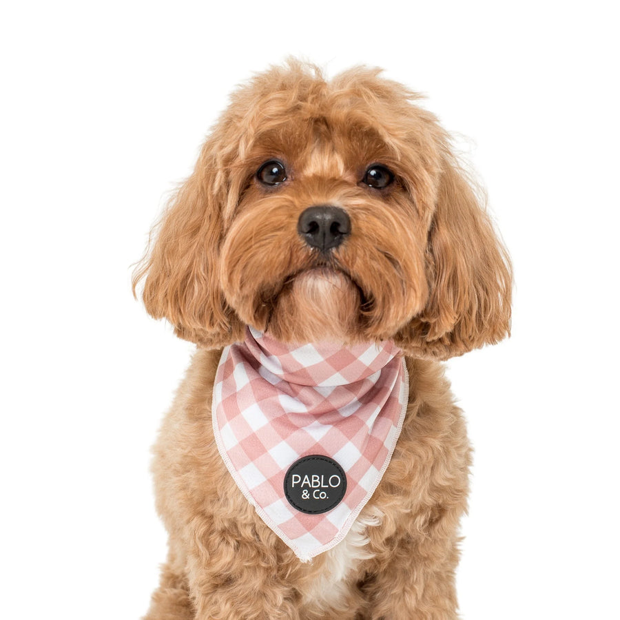 Chocolate Gingham Bandana