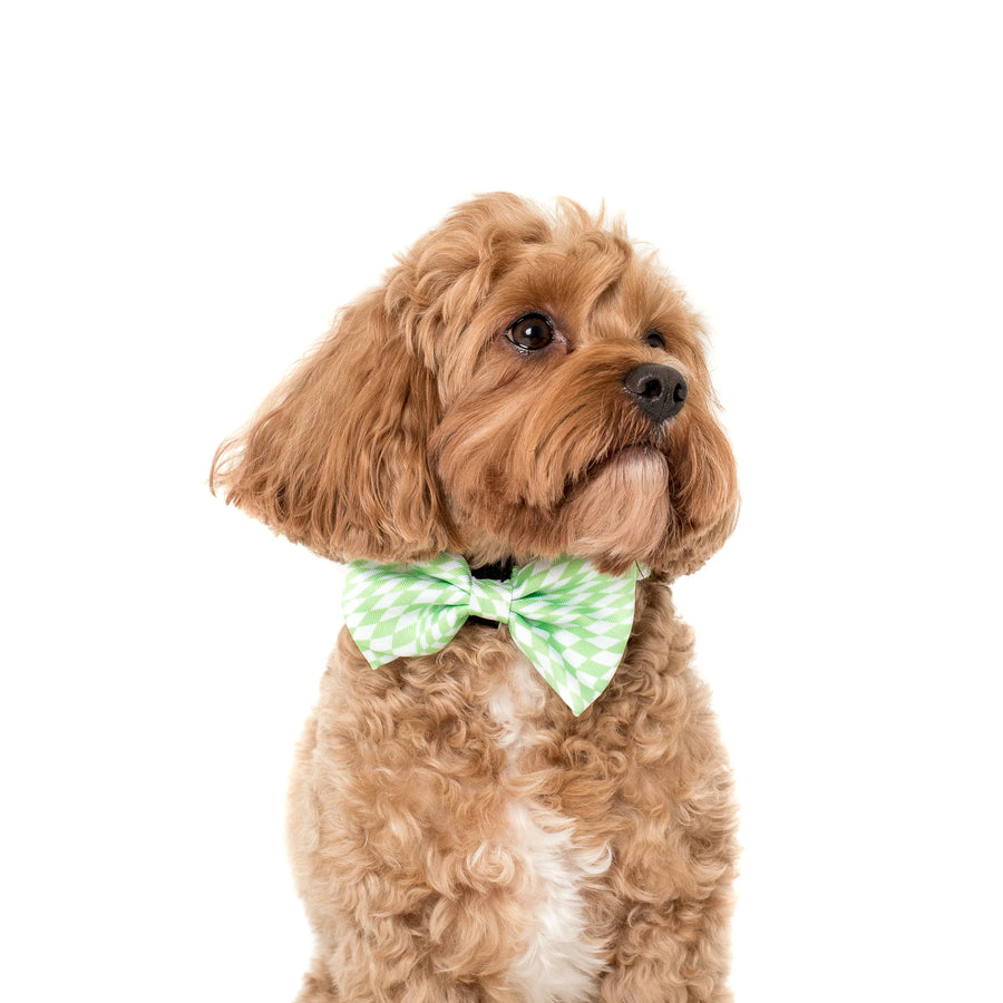 Lime Check Bow Tie