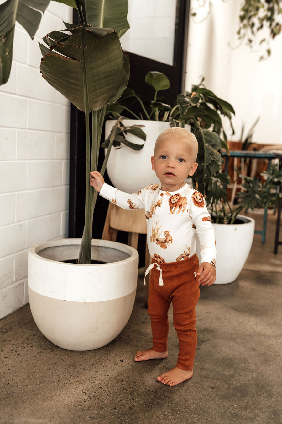 Lion Long Sleeve Bodysuit