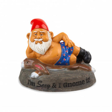 The Sexy & I Gnome It Garden Gnome