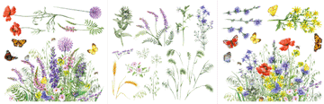 Botanical Petite Decor Transfer