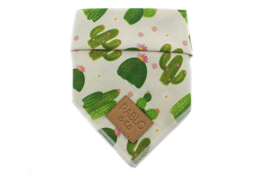 Cactus Bandana