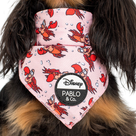 The Little Mermaid - Sebastion Bandana