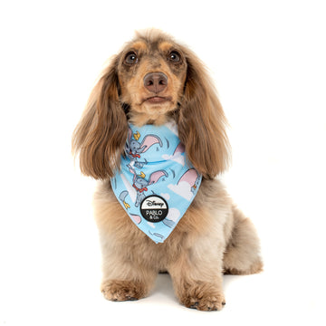 Dumbo in the Clouds Bandana