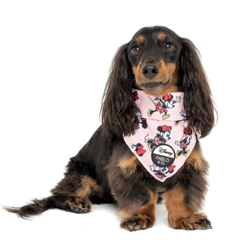 Minnie Mouse & Flowers Bandana