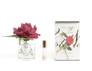 Cote Noire Single Rose - Carmine Red
