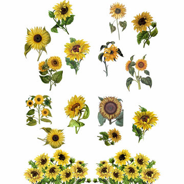 Sunflowers Transfer
