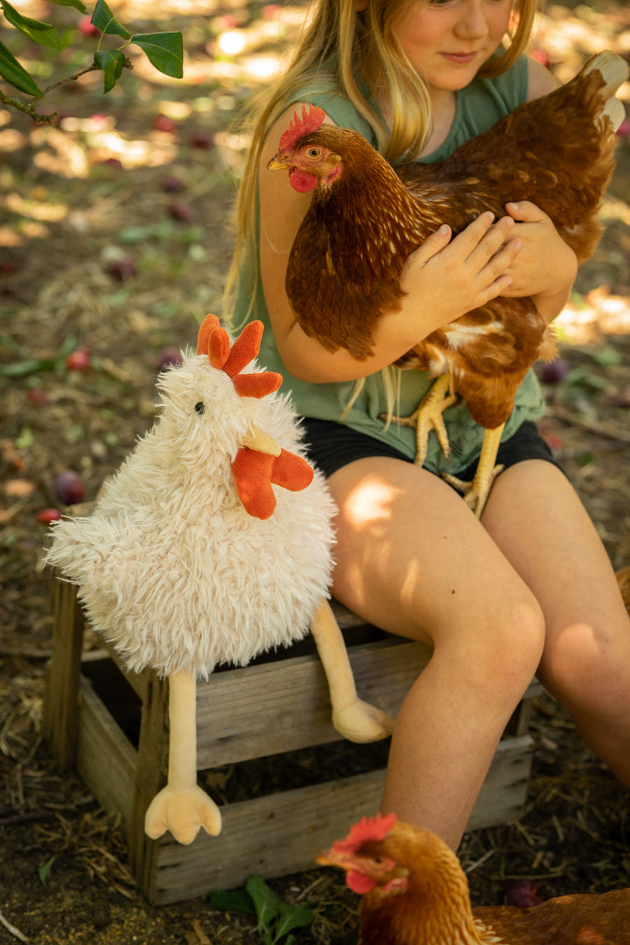 Roy the Rooster Plush