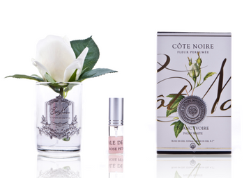 Cote Noire - Rose Bud Ivory