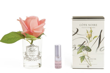 Cote Noire - Rose Bud White Peach